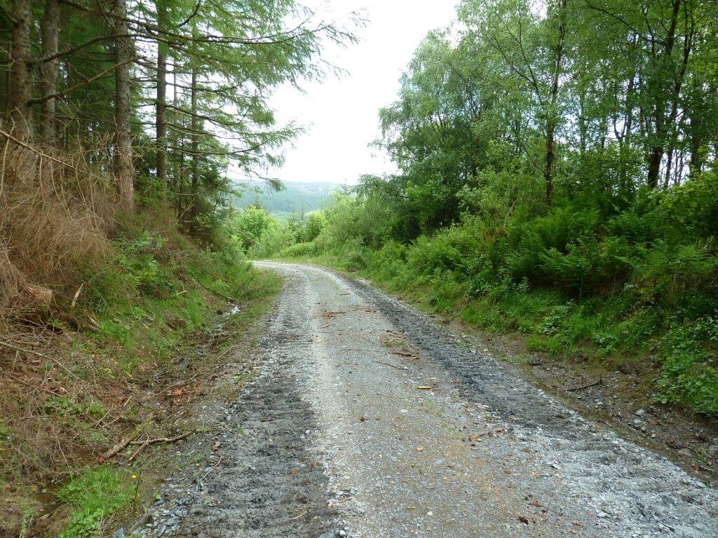 Gwydir Forest, Wales