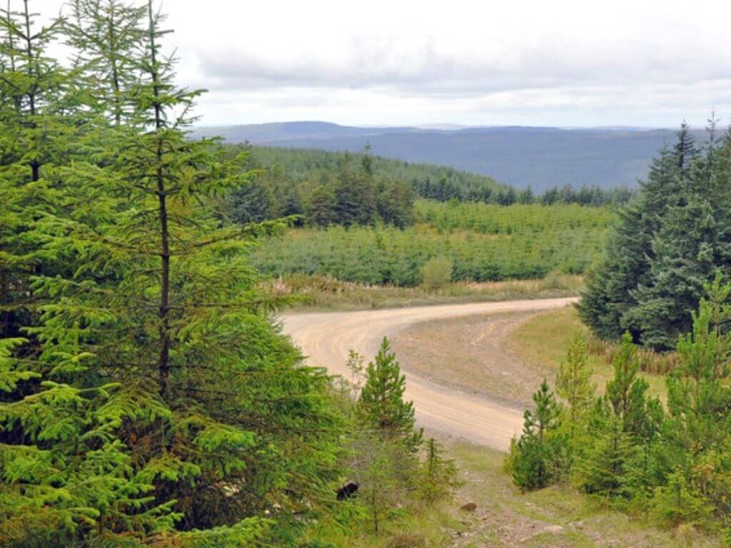 Afan Forest, Wales