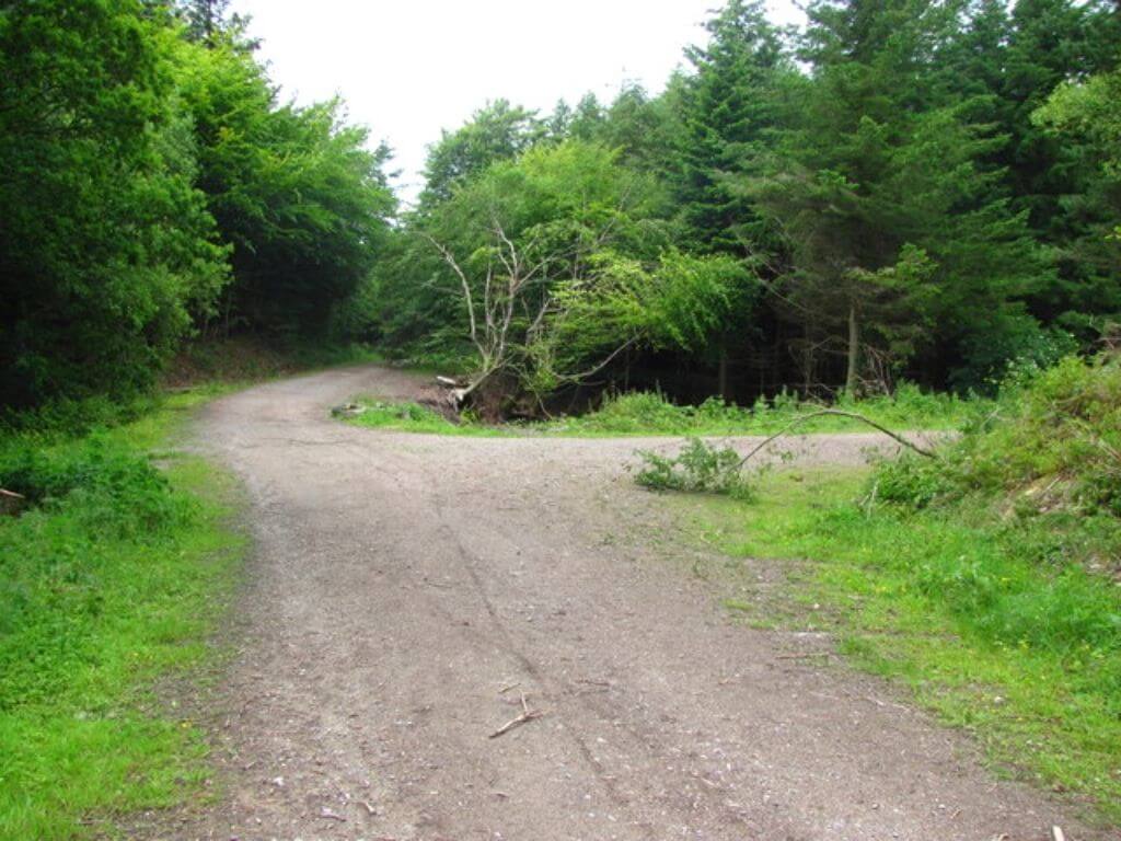 Llantrisant Forest, Wales