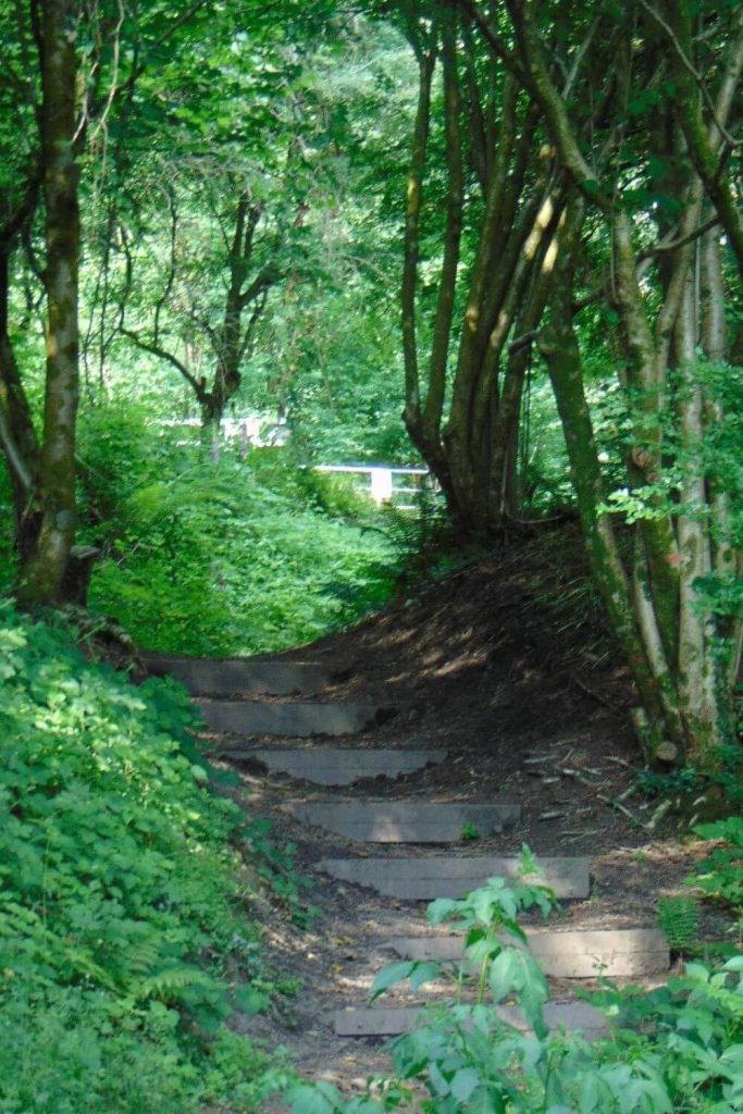 Llynfi Woodland, Wales