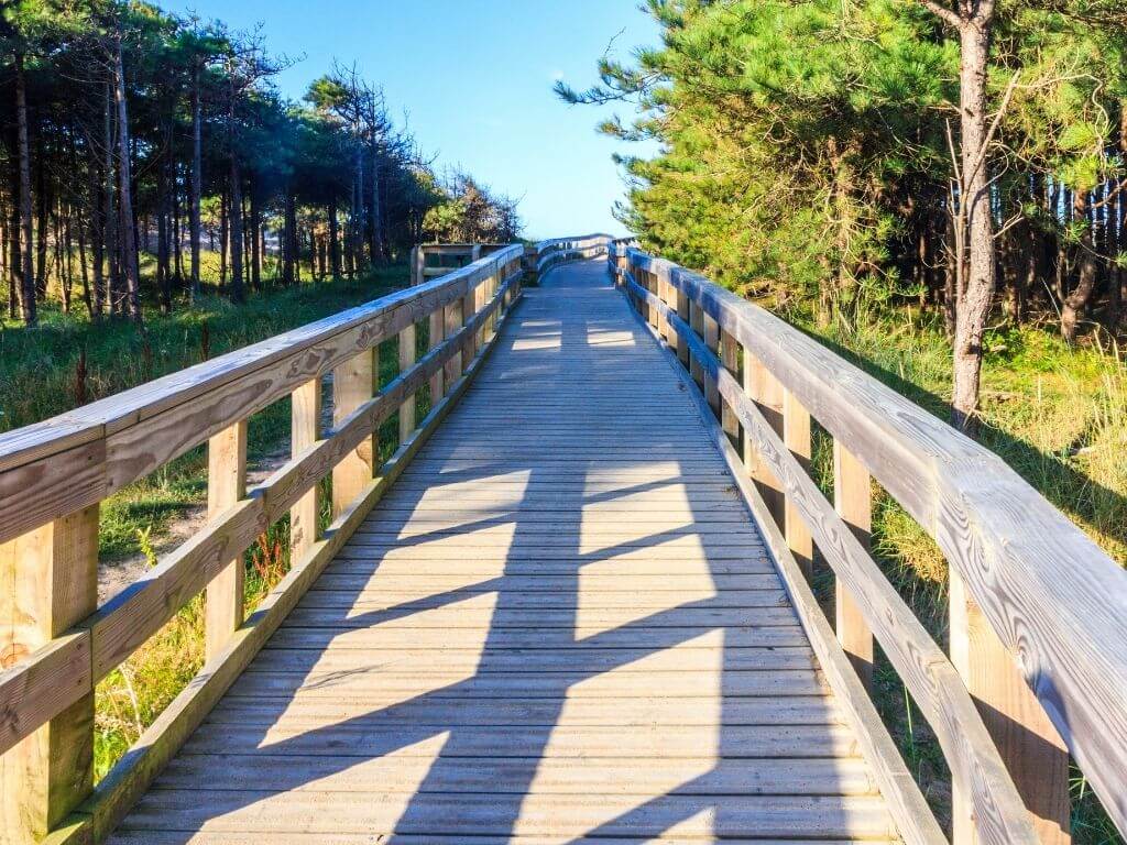 Newborough Forest, Anglesey, Wales