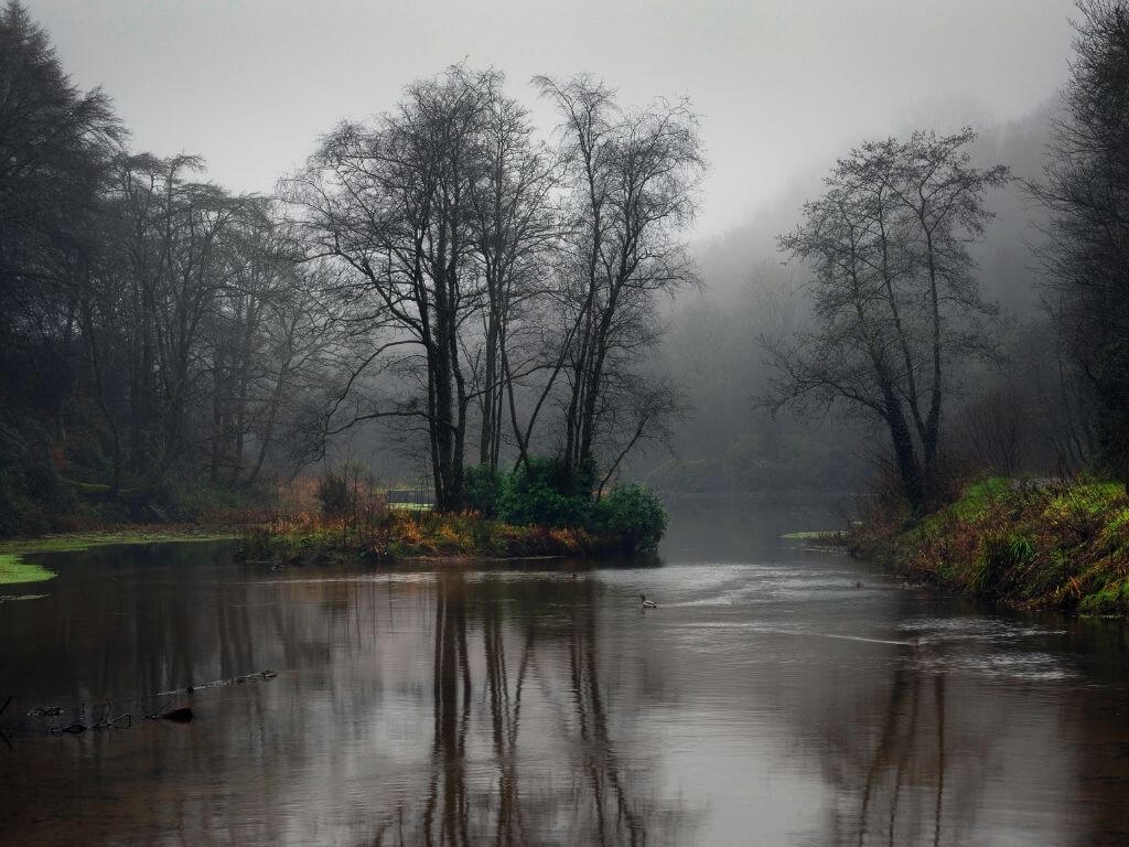 Penllergare Valley Woods, Wales