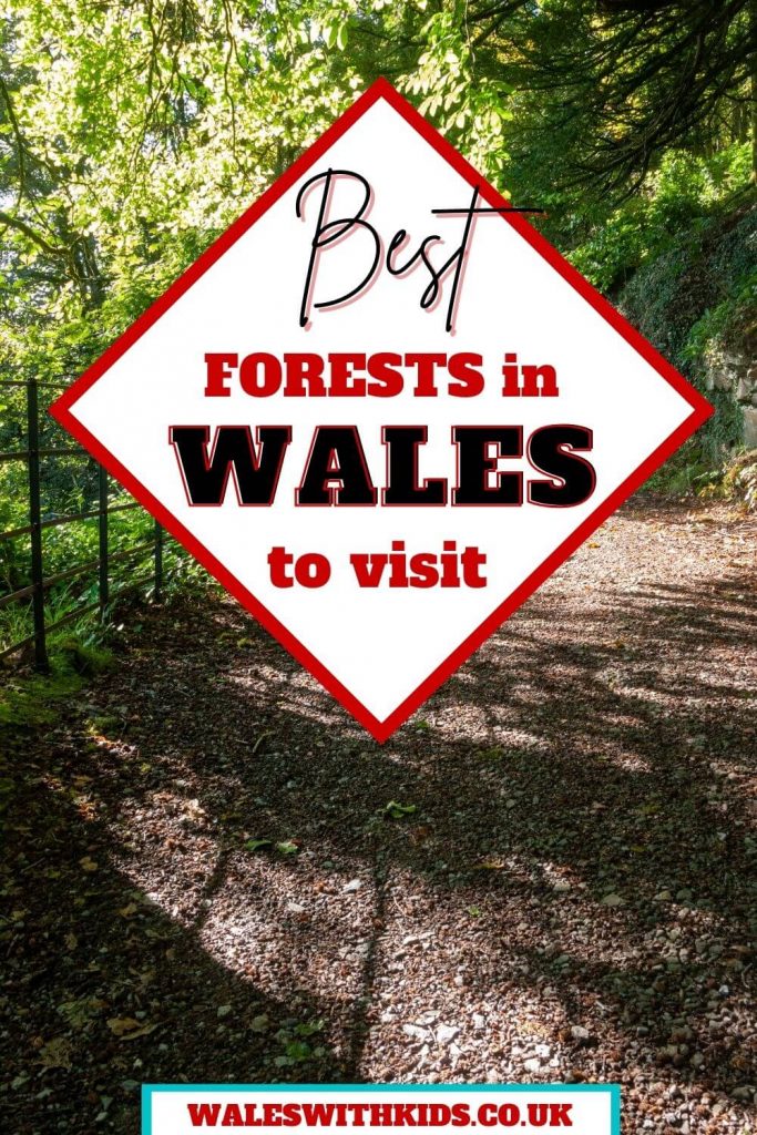 A path through a forest with text overlay saying best forests in Wales to visit