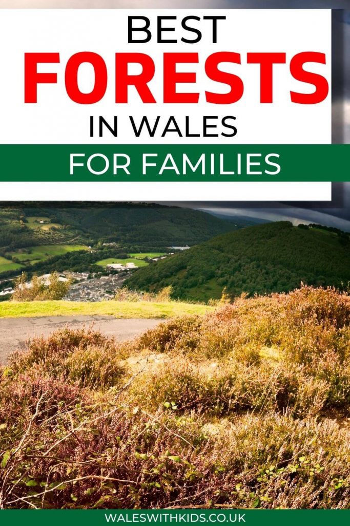 A picture of a forest on a mountainside with text overlay saying Best forests in Wales for families