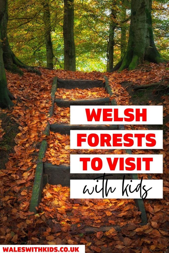 A picture of a track through woods with text overlay saying Welsh forests to visit with kids