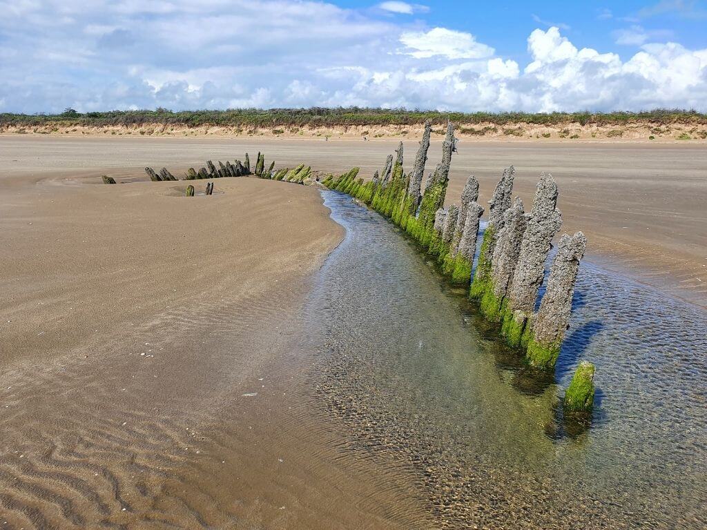 A picture of the shopwreck spine at Cefn Sands at Pembrey Country Park in Carmarthenshire, South Wales