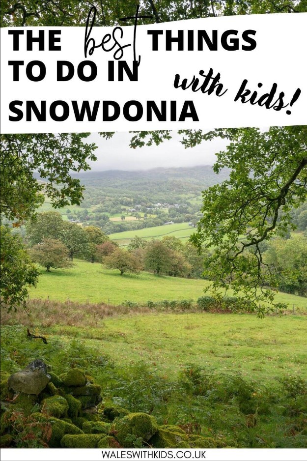 A picture of Coed-y-Brenin Forest Park in Snowdonia with text overlay saying the best things to do in Snowdonia with kids